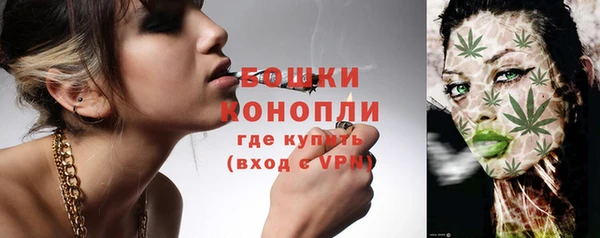 ешки Гусев