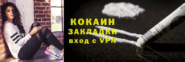 ешки Гусев