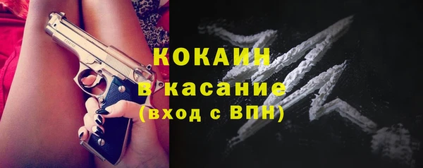 ешки Гусев