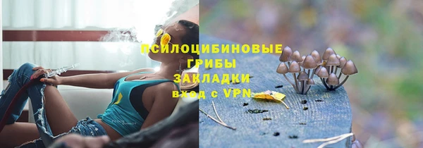 соль ск Гусь-Хрустальный