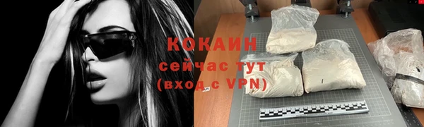 ешки Гусев