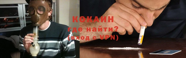 ешки Гусев