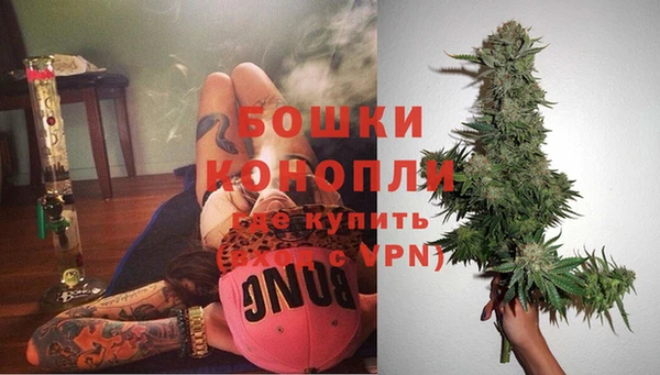 ешки Гусев