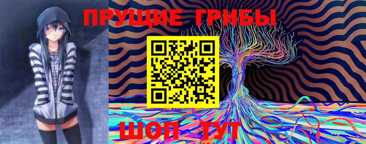 Галлюциногенные грибы Cubensis  Псилоцибиновые грибы ЛСД  Вход с VPN  Дзержинск 