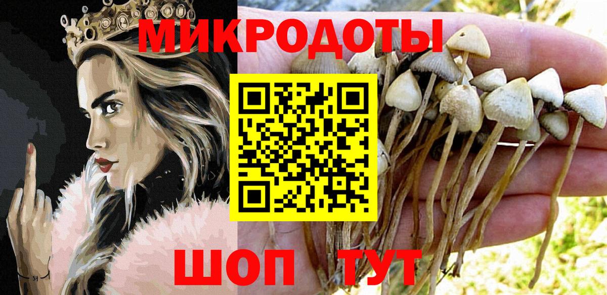 Галлюциногенные грибы мухоморы Дзержинск