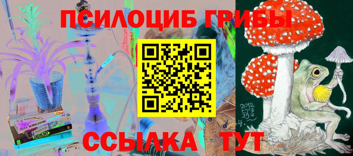 где купить наркотик  Галлюциногенные грибы мухоморы  Дзержинск  Галлюциногенные грибы GOLDEN TEACHER 